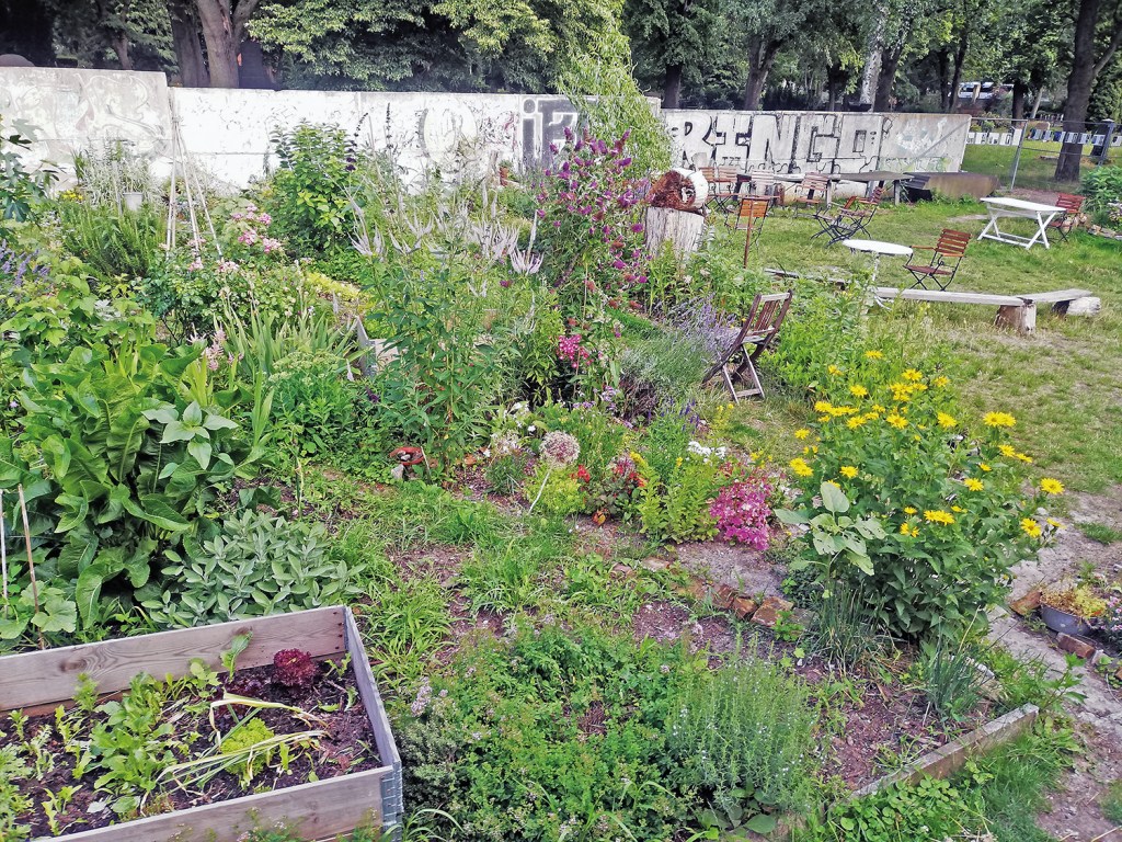 Impressionen aus dem Niemandslandgarten aus diesem Sommer. Foto: Hensel