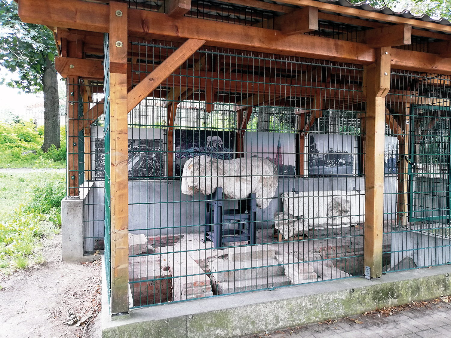 Der weiße Stier vom Humboldthain ist zurück
