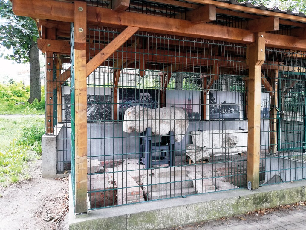 August 2023: Der Stier hat seinen Platz im archäologischen Fenster in der Brunnenstraße/im Humboldthain gefunden. Foto: Dominique Hensel