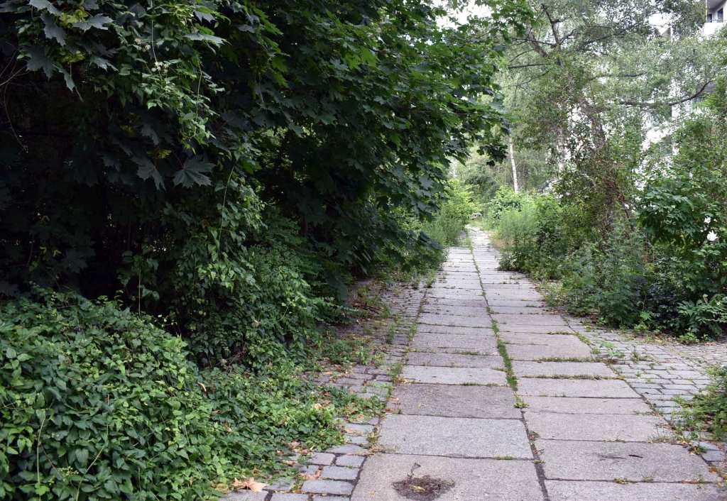 Stralsunder Straße Richtung Ruppinger Straße. Fußgängerwege strukturieren den Bereich. Foto: Michael Becker