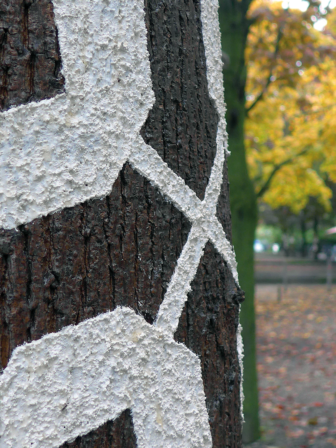 Weißes Musterkleid auf Zeit