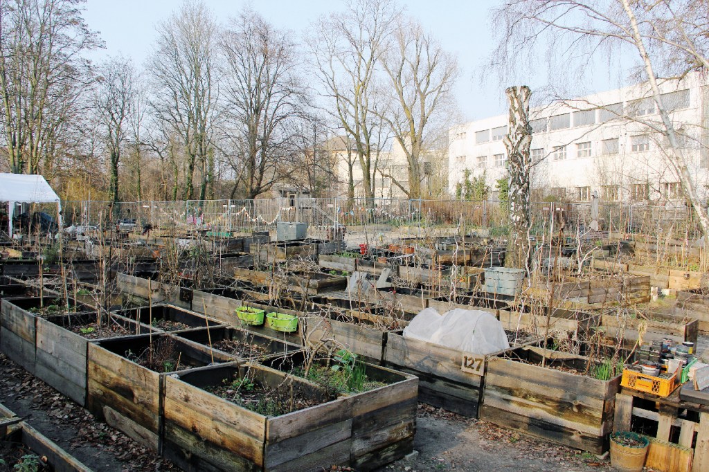 Hochbeete im Gemeinschaftsgarten Himmelbeet. Die Saison beginnt jetzt, neue Beetpächter:innen sind willkommen. Foto: D. Hensel
