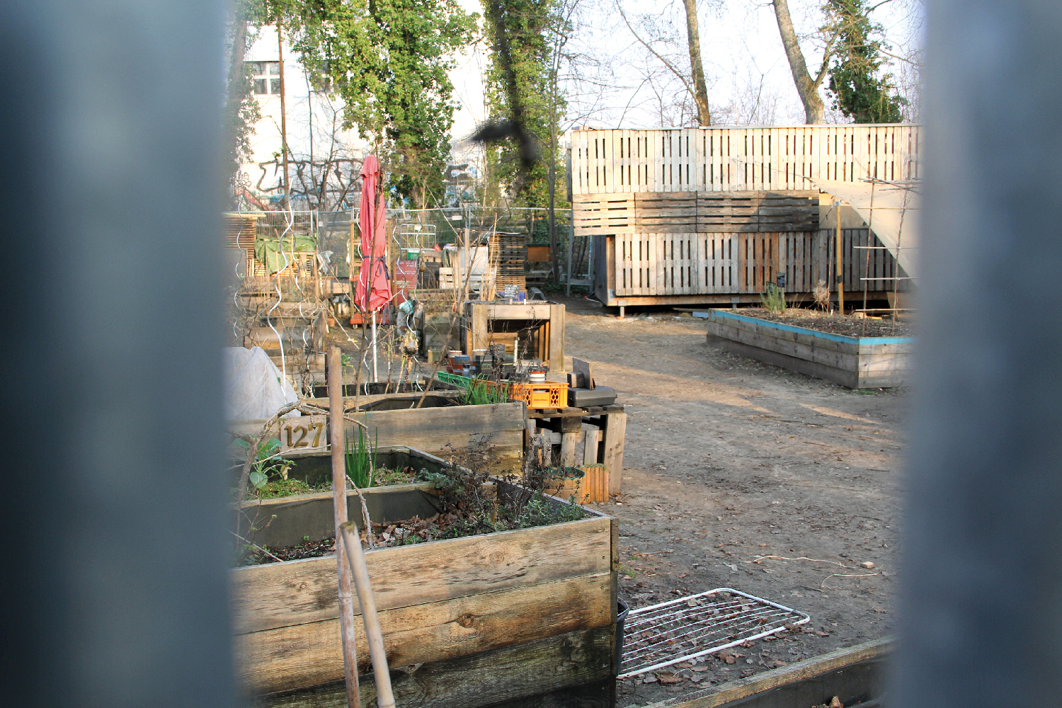 Frühling in den Kiezgärten