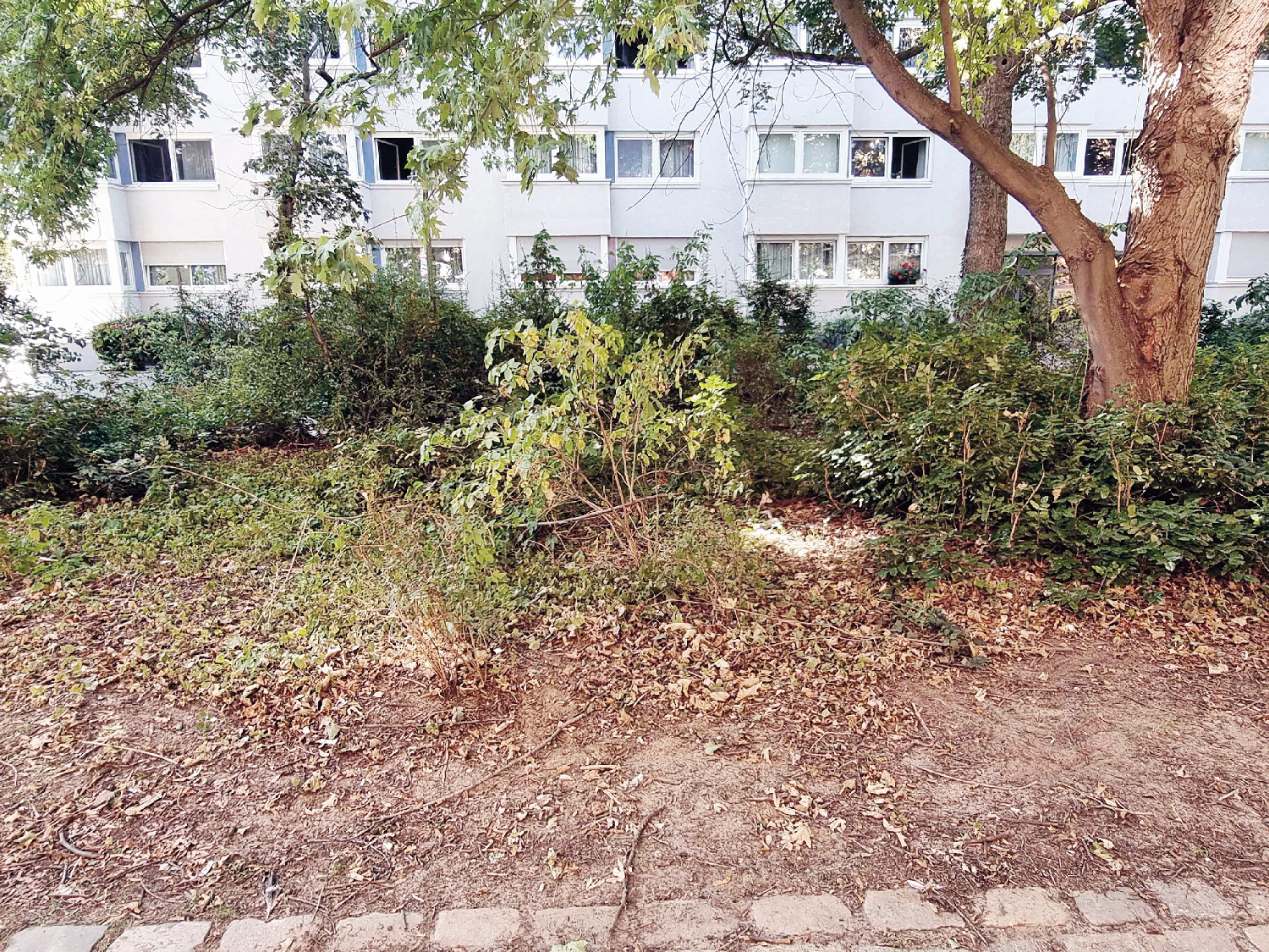 Liebes Straßen- und Grünflächenamt…