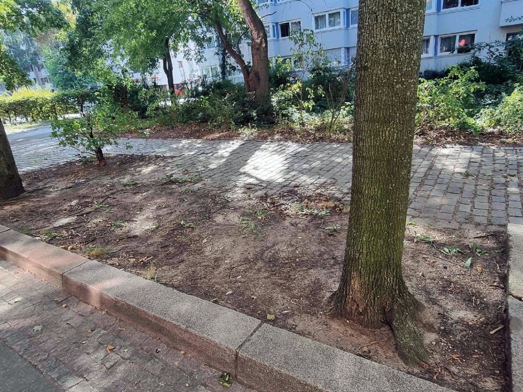 Auch hier sieht es ziemlich kahl aus. Foto: Hartmut Bräunlich