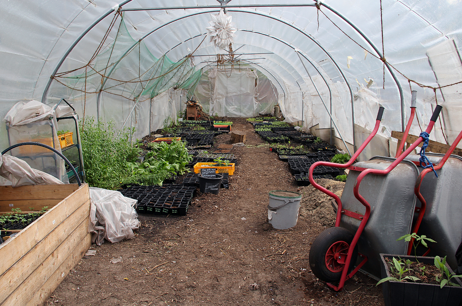 FÖJ – für Natur und Umwelt im Wedding