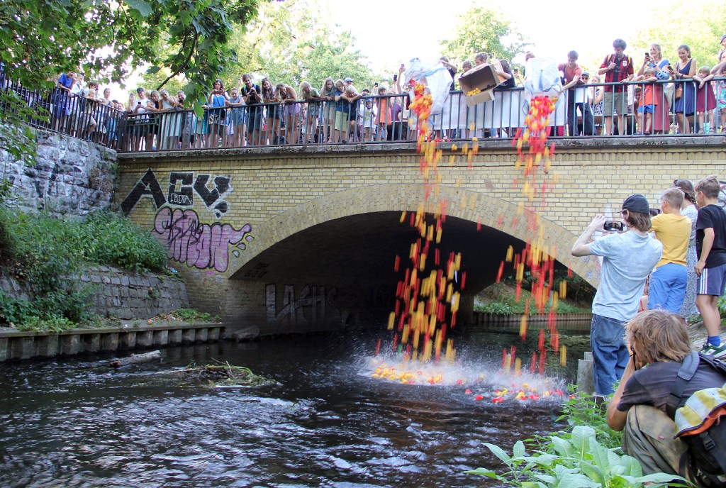 Die 1000 Gummienten starten zum Entenrennen auf der Panke. Foto: Hensel