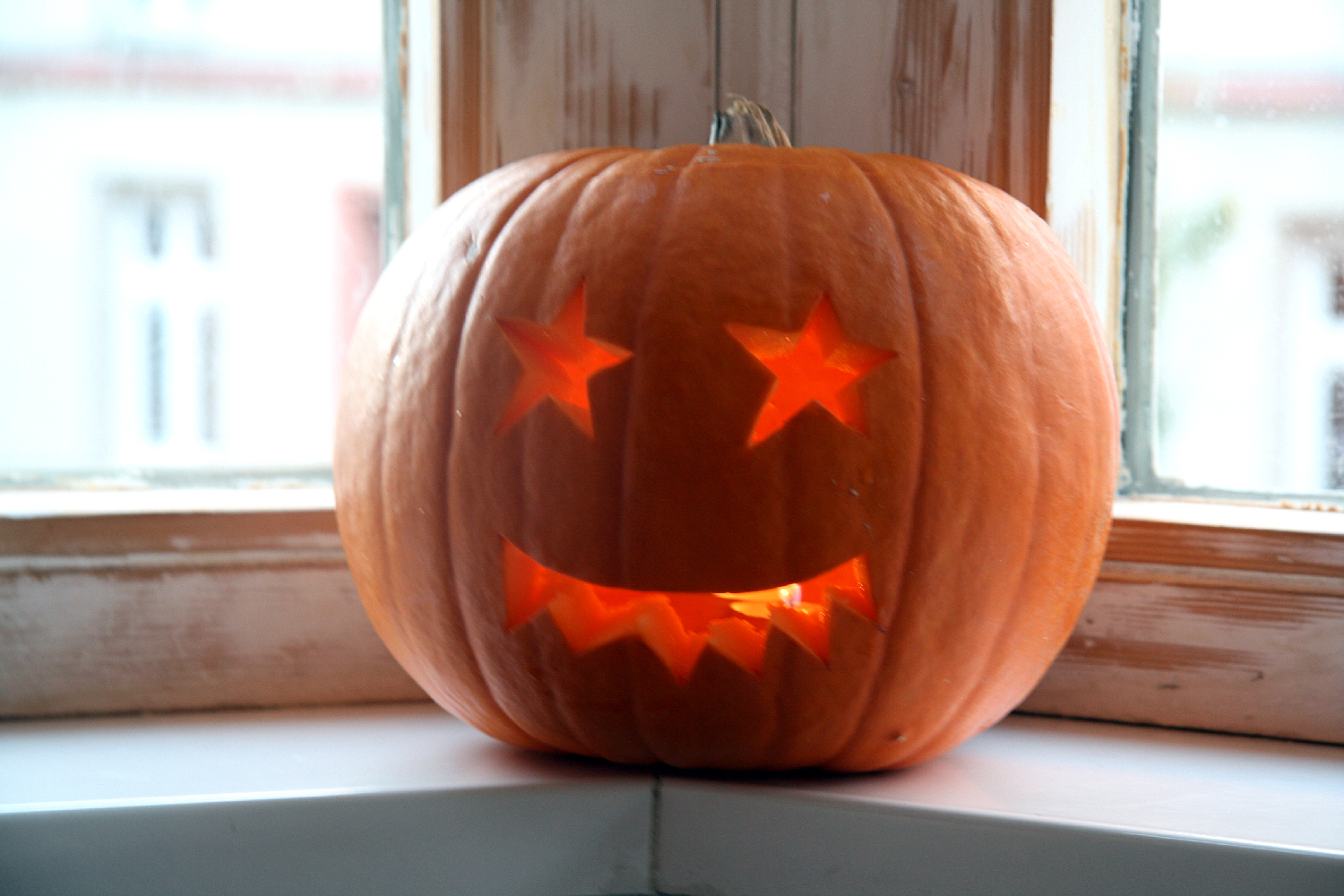 Unterwegs im Wedding – 31. Oktober bis 6. November