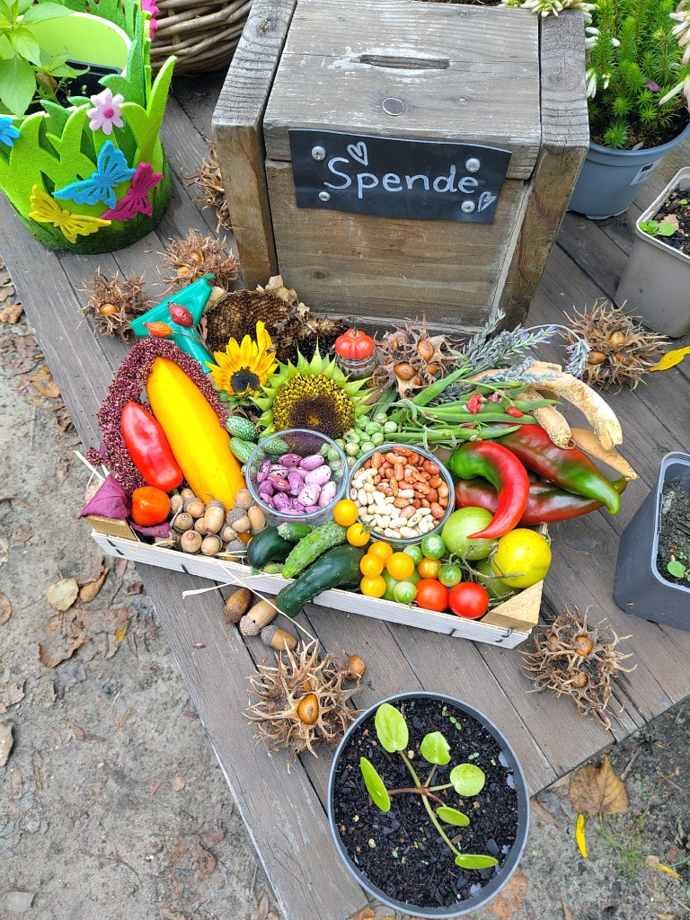 Geerntet im Himmelbeet. Foto: Hensel