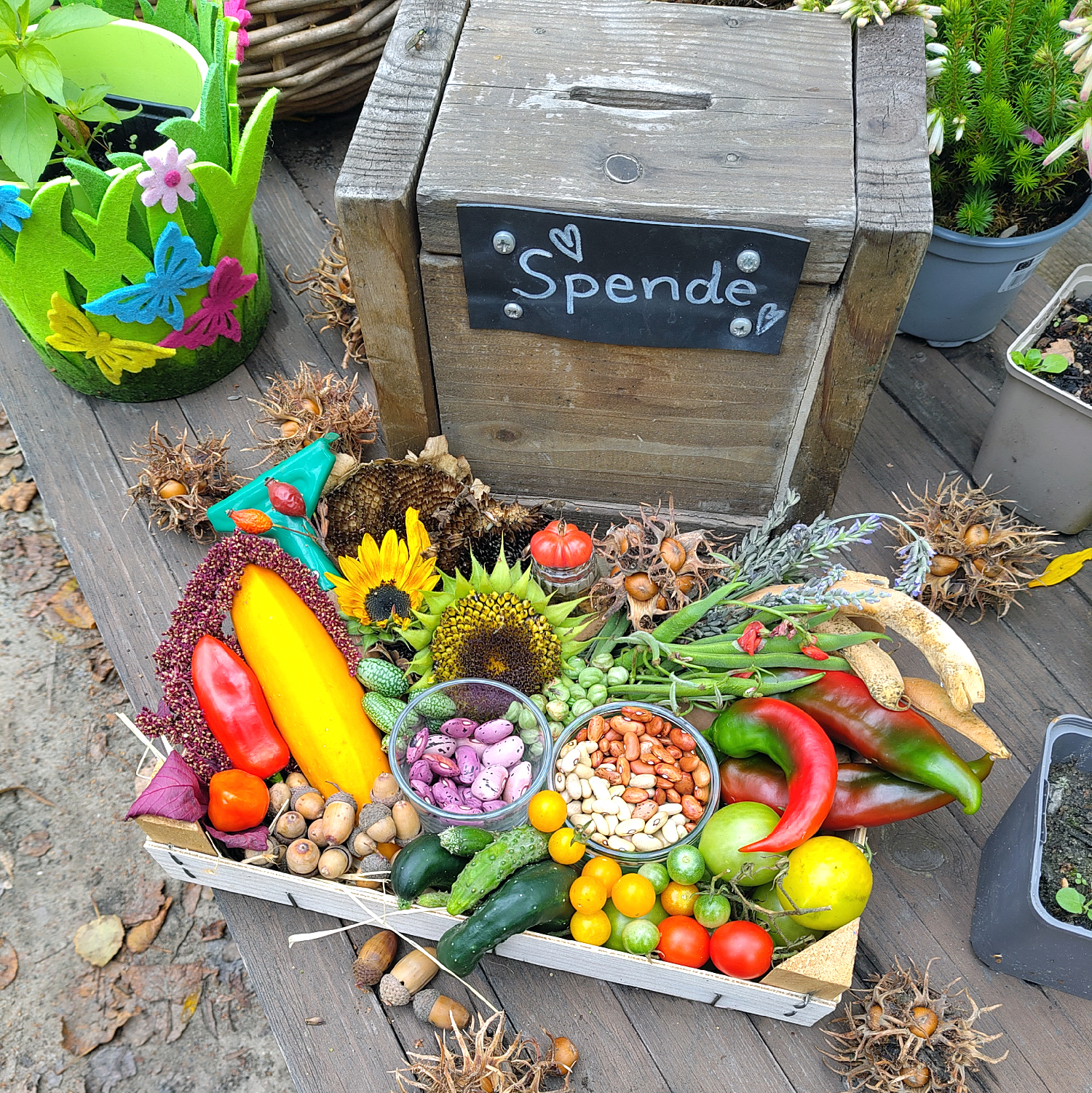 Unterwegs im Wedding – 10. bis 16. Oktober