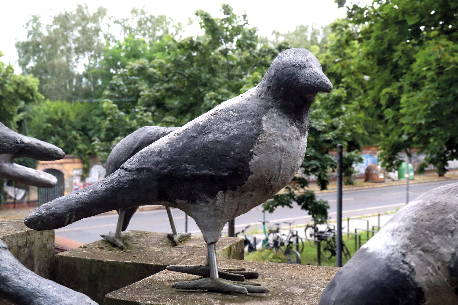 Berliner Krähen: Versteckte Kunst an der Mauer