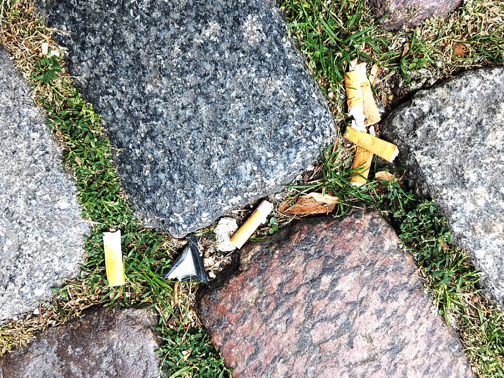 Zigarettenkippen zwischen den Pflastersteinen - so können die Stoffe aus den Stummeln ins Grundwasser gelangen. Foto: Hensel
