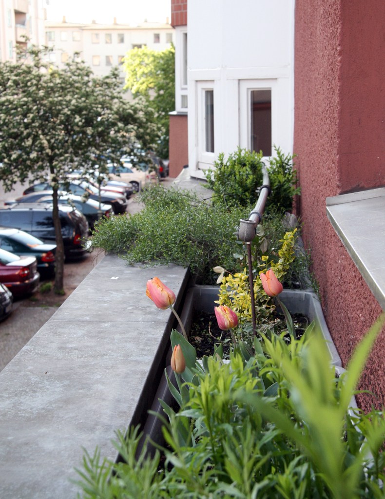 Der kleine Balkongarten am Haus, gerade sauber gemacht und ohne Tauben-Häufchen. Foto: Hensel