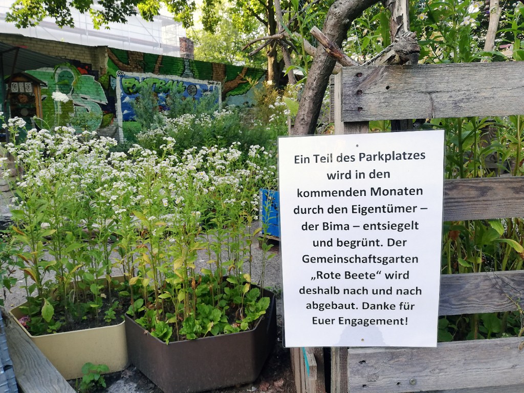 Abschied vom Gemeinschaftsgarten. Foto: Hensel