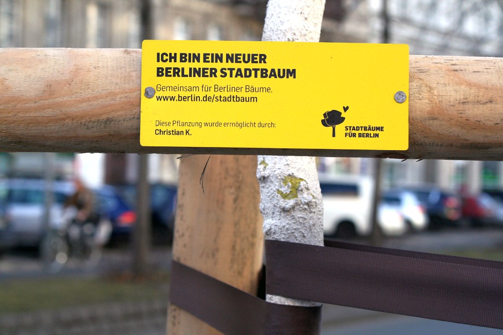 Ein Baum, der über die Stadtbaumkampagne gepflanzt wurde. Foto: Schnell