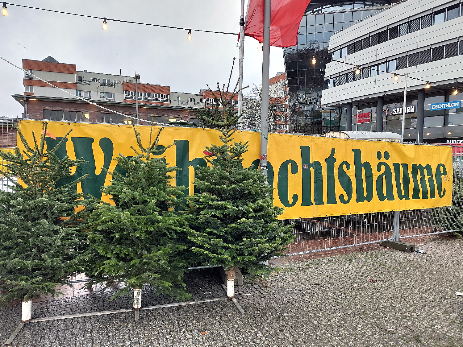 Frohe Weihnachten Wedding!