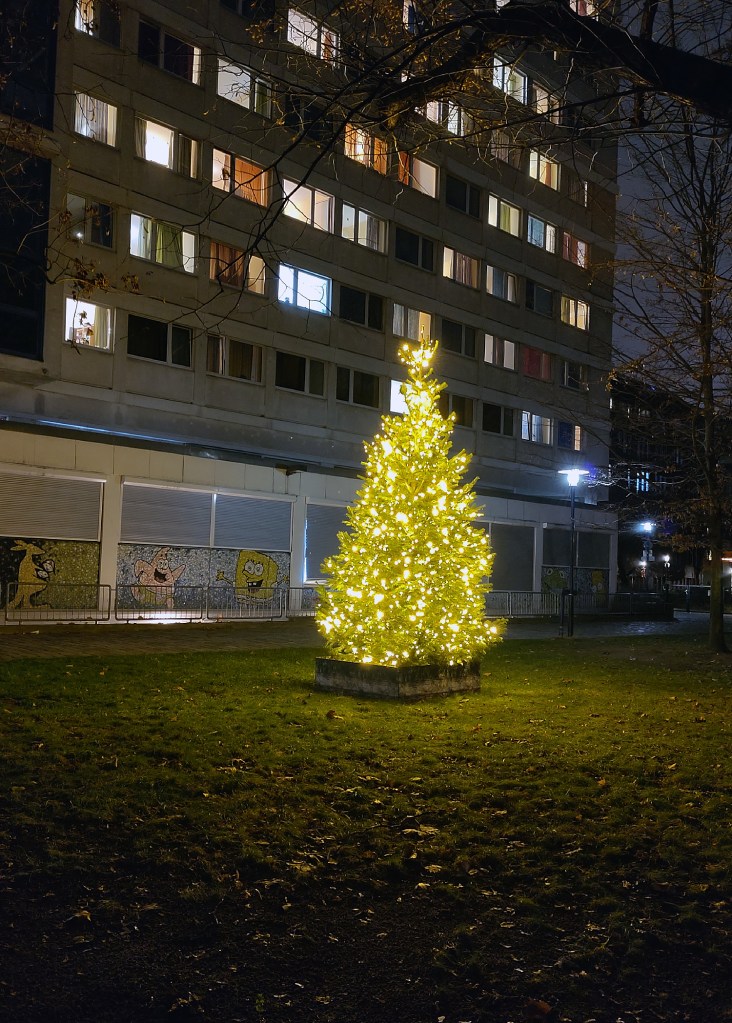 Weihnachtsbaum in einem Hof in der Triftstraße. Foto: Hensel