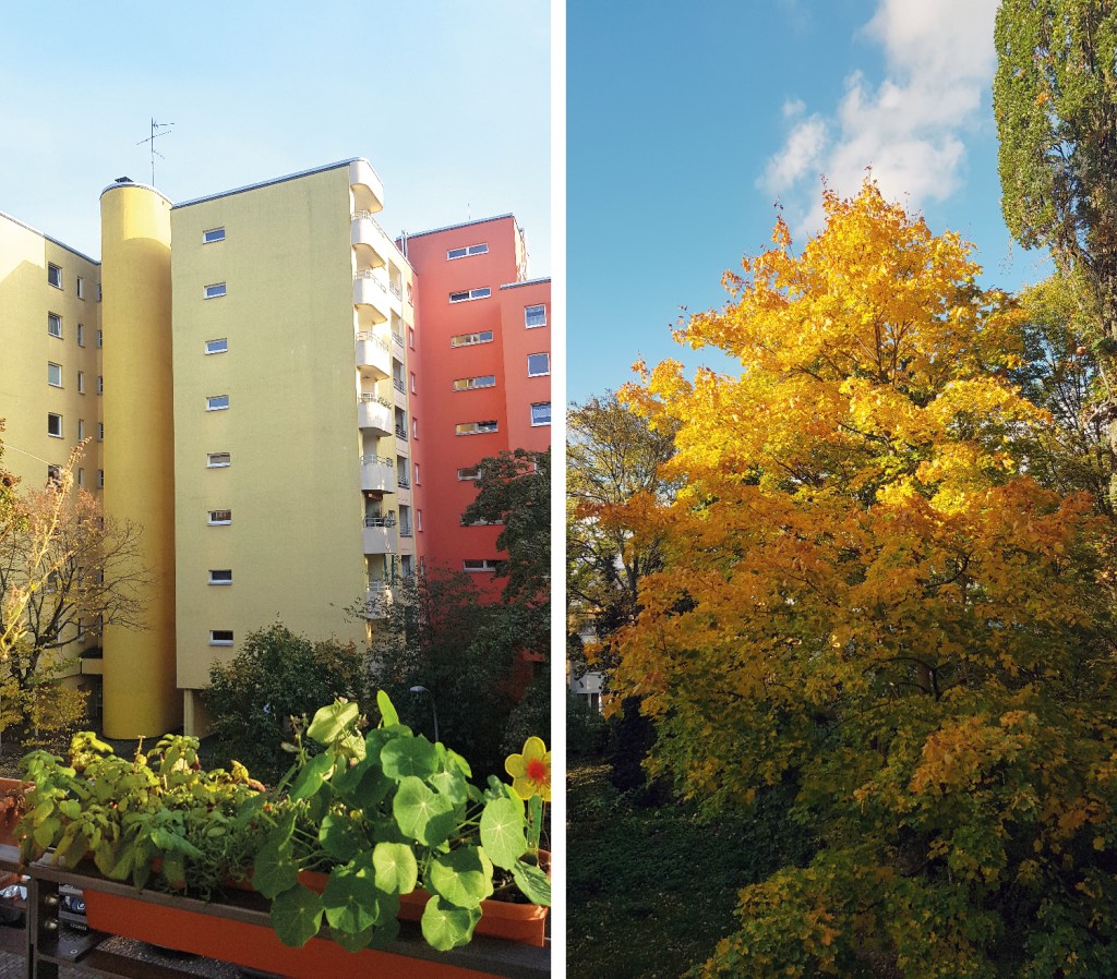 Der Blick aus Susanne Bürgers neuer Wohnung im Brunnenviertel. Foto: privat