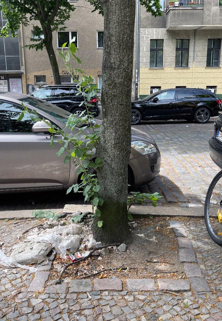 Baumscheibe vorher. Foto: privat