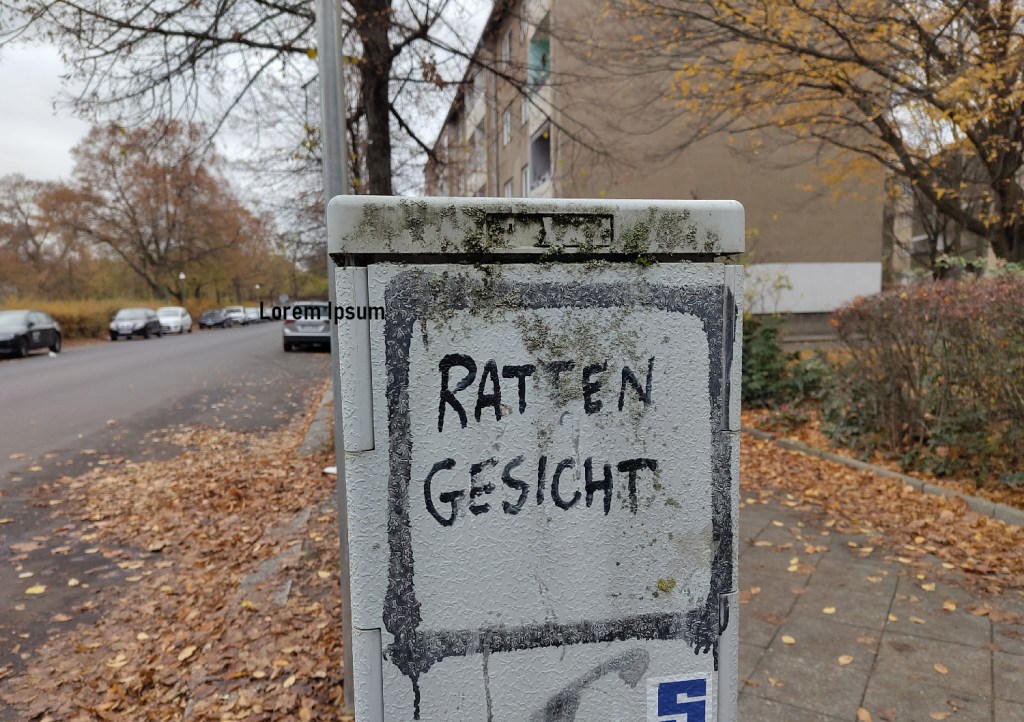Rattengesicht: Schriftzug auf einem Stromverteilerkasten am Gartenplatz. Foto: Hensel