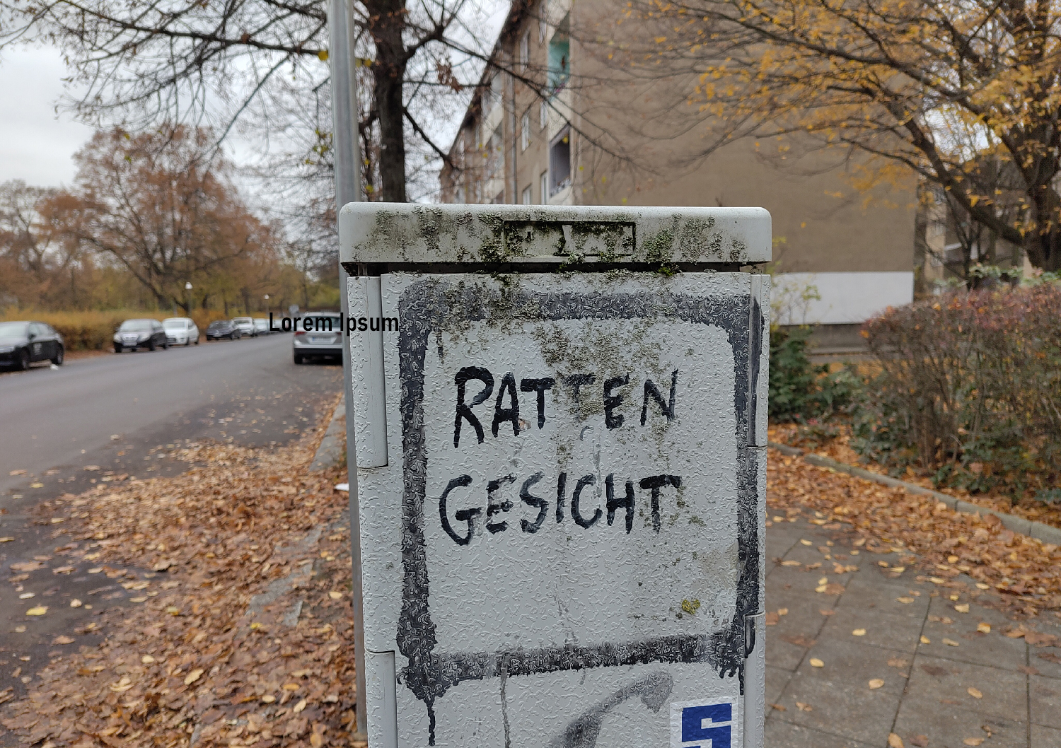 Und ewig grüßt die Ratte