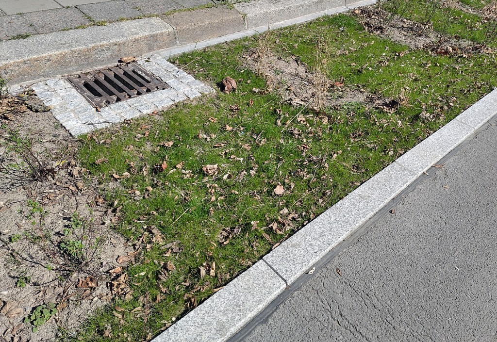 Grüner Gully in der Singerstraße. Foto: Hensel
