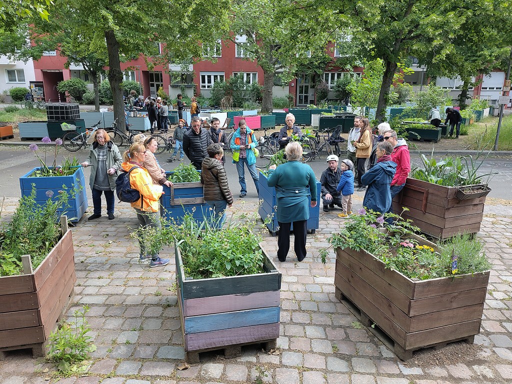 Im Diesterbeet-Hochbeetgarten. Foto: Hensel