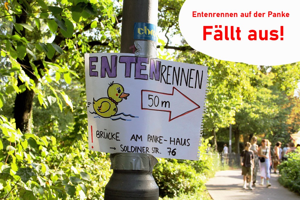 Das Entenrennen auf der Panke fällt 2025 aus. Foto: Hensel