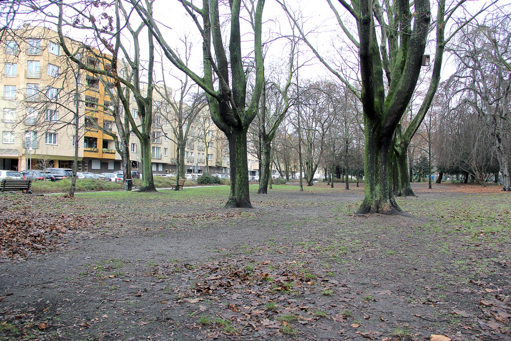 Die Grünfläche entlang der Ruheplatzstraße. Foto: Hensel