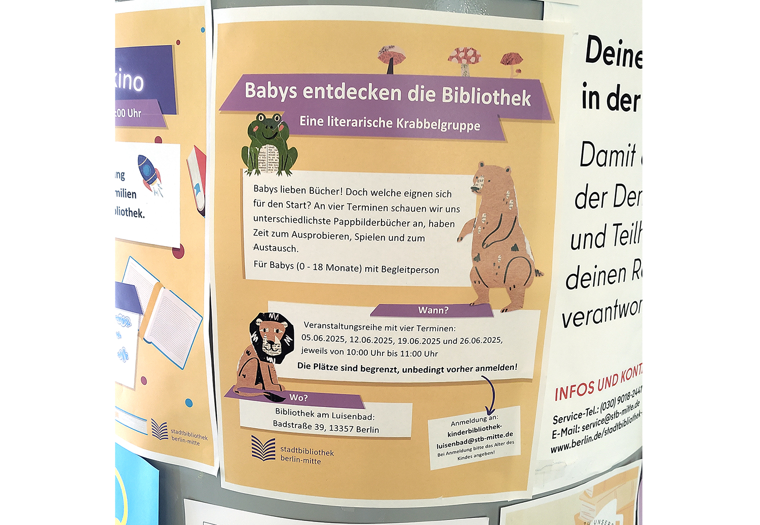 Die besten Pappbilderbücher für Babys