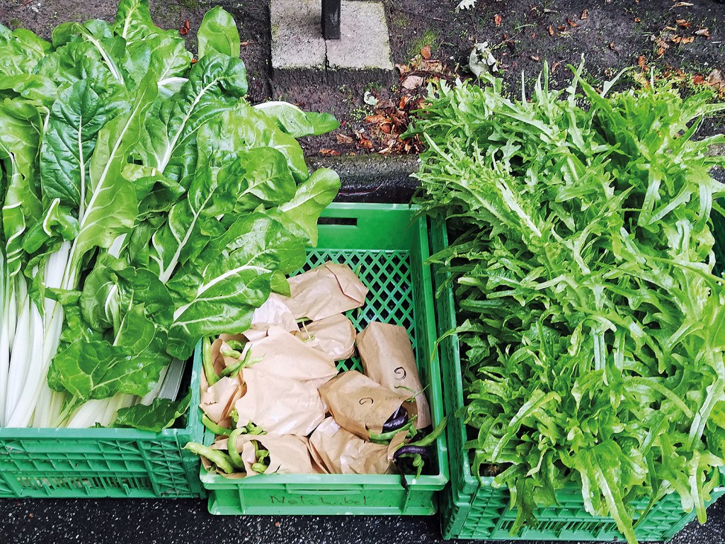 Gemüse aus dem Elisabeet-Garten im Soldiner Kiez wird über eine Solawi verteilt. Foto: Hensel