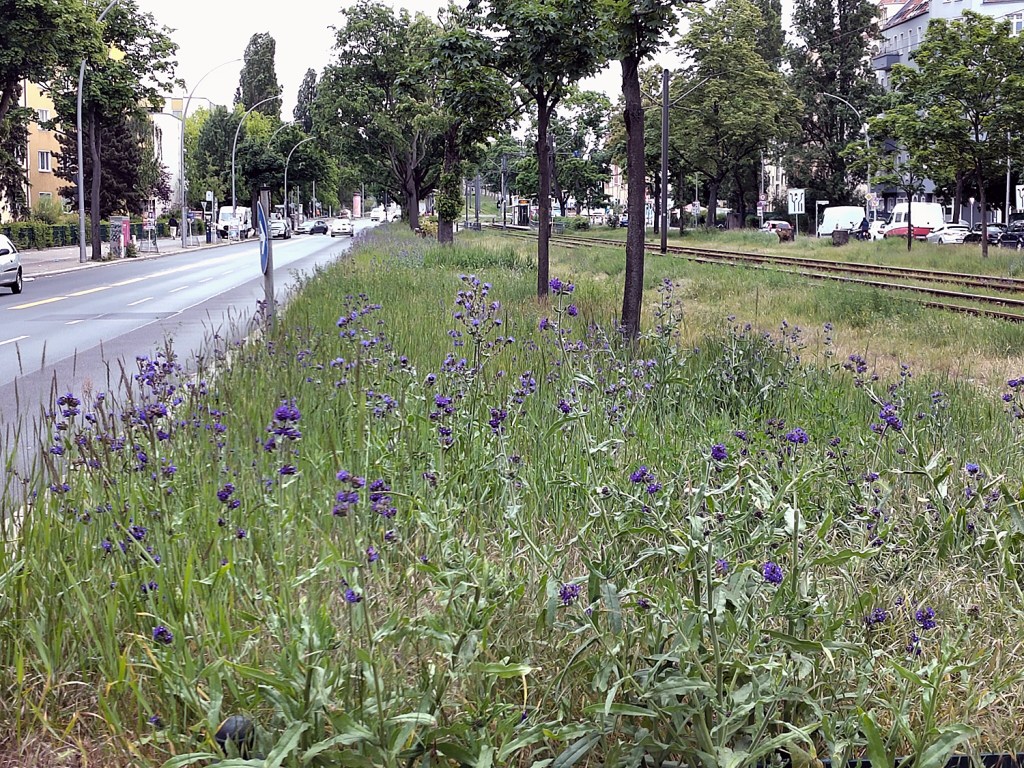 Osloer Straße. Foto: Hensel