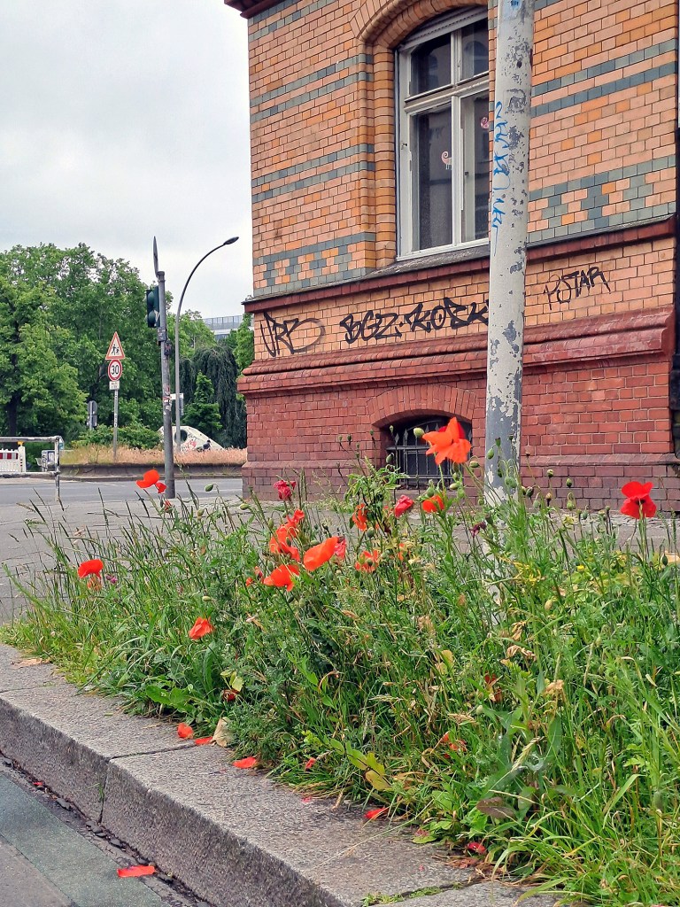 Am Straßenrand in der Triftstraße. Foto: Schnell