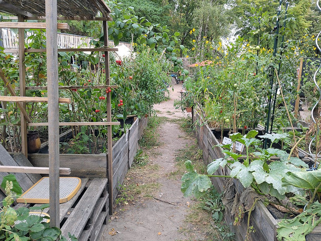 Der Gemeinschaftsgarten Himmelbeet. Foto: Hensel