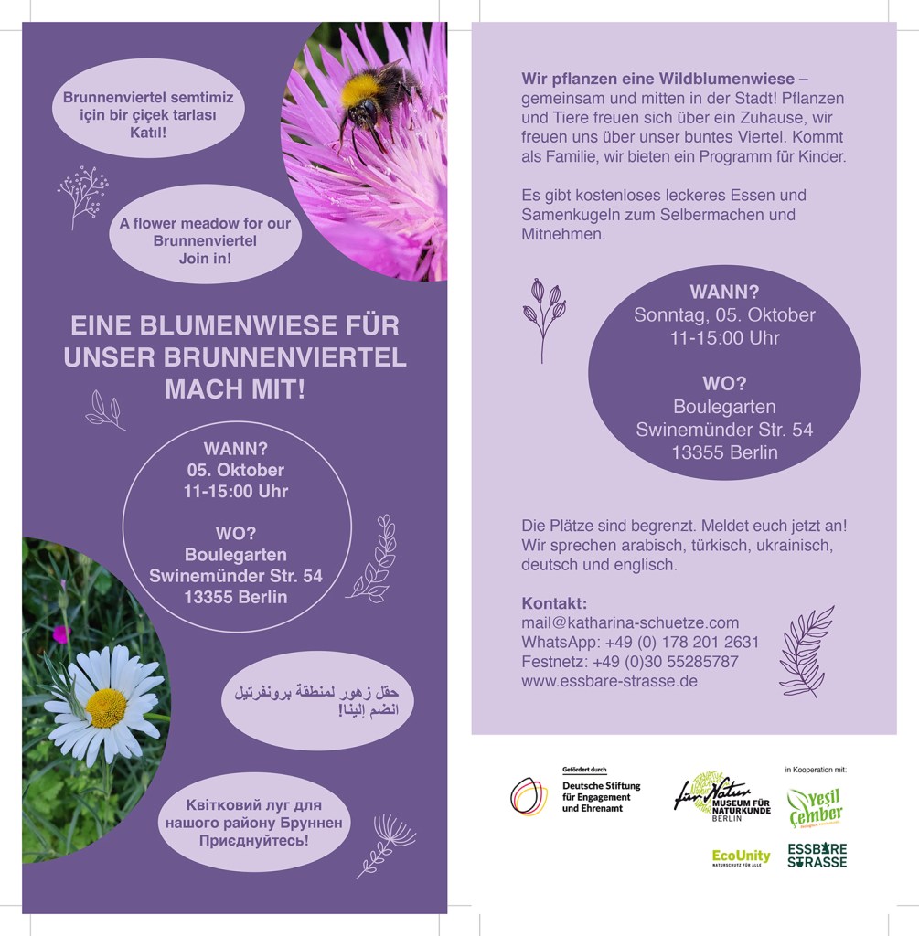 Flyer für die Wildblumenwiesen-Aktion in der Swinemünder Straße. Grafik: Veranstalter