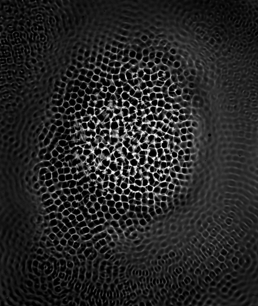 Kameralose Fotografie der Bewegung von Wasser bei 852 Hz aus der Serie „Vibraciones“. Foto: Francisco Macfarlane
