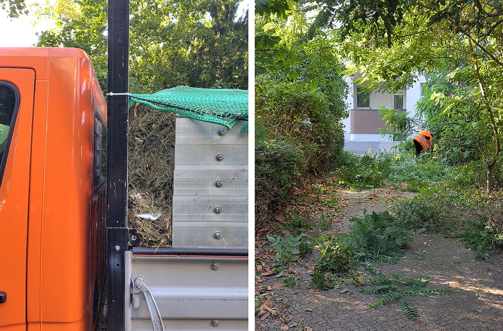 Grünflächenpflege in der Stralsunder Straße 2024. Foto: Hensel