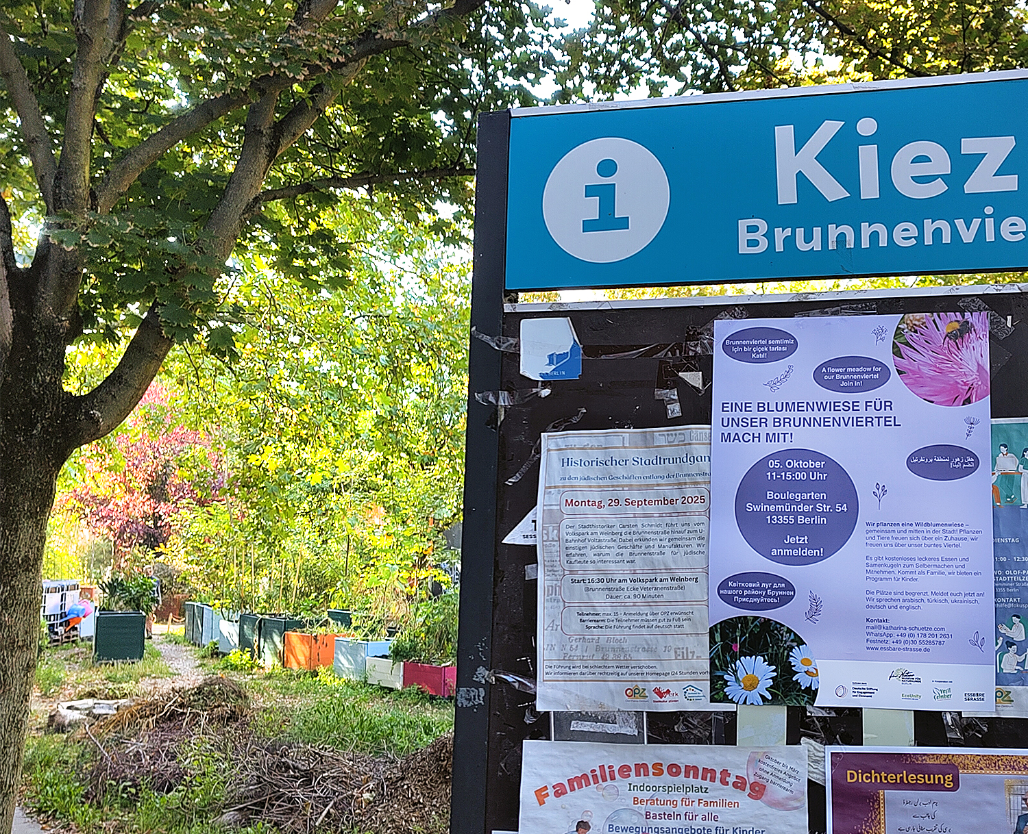 Arbeitseinsatz: Wildblumenwiese in der Swinemünder Straße