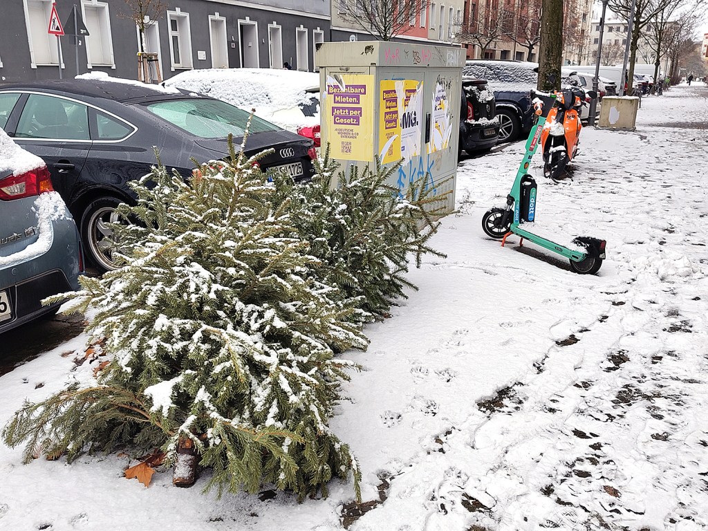 Diese Weihnachtsbäume wurden schon Silvester auf den Gehweg gelegt - zu früh