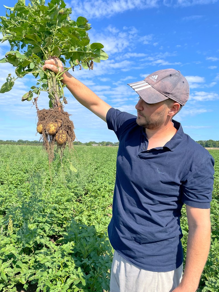 Frederik Henn inspiziert Kartoffeln. Foto: PlantAge