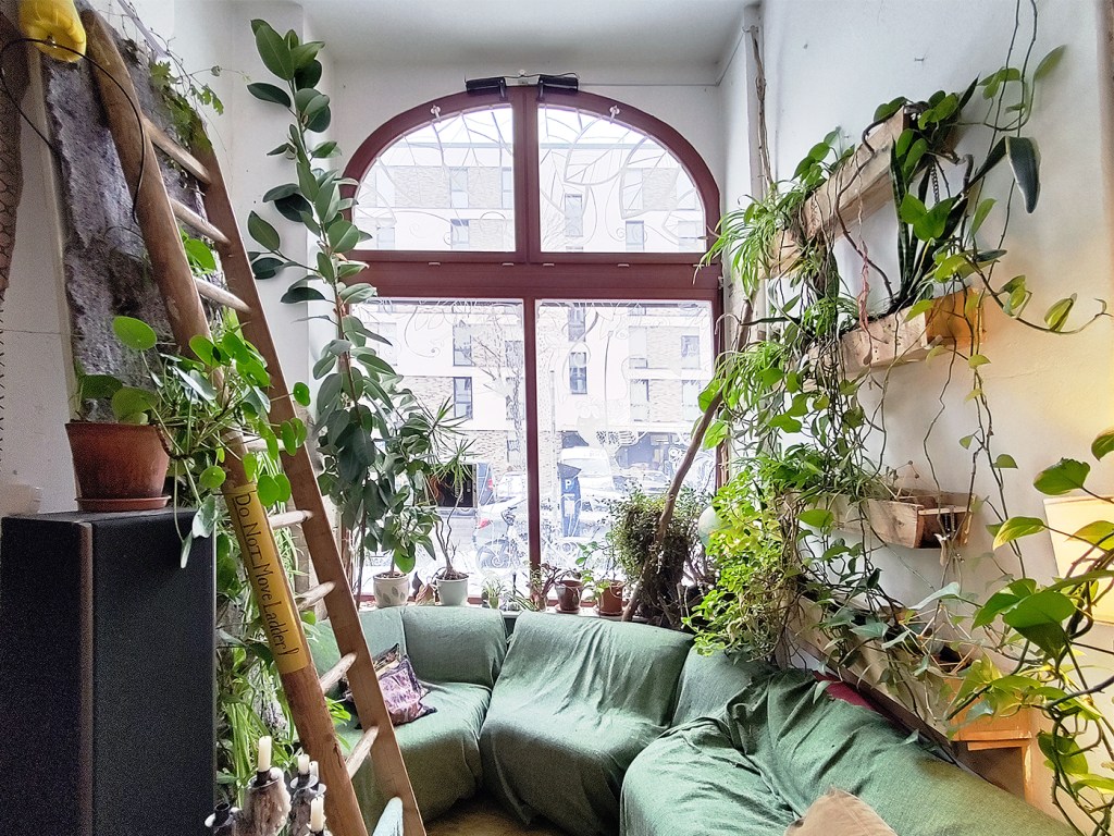 Grüne Ecke im Baumhaus. Foto: Hensel
