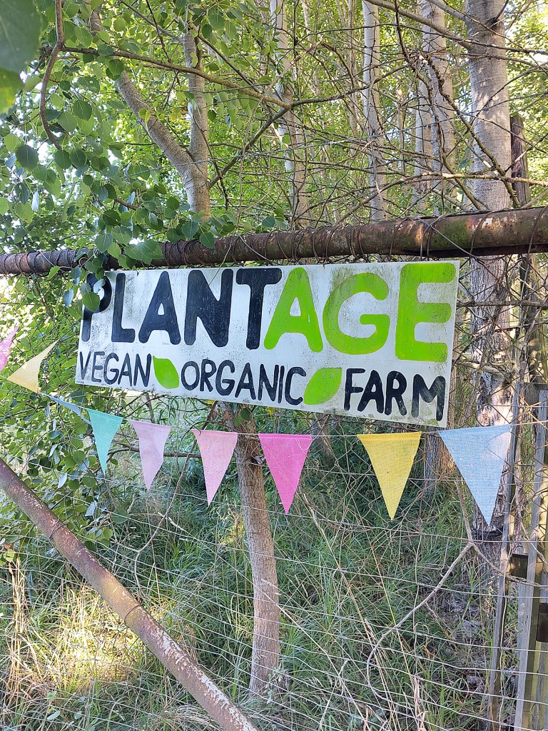 Am Eingang zur Farm. Foto: Hensel