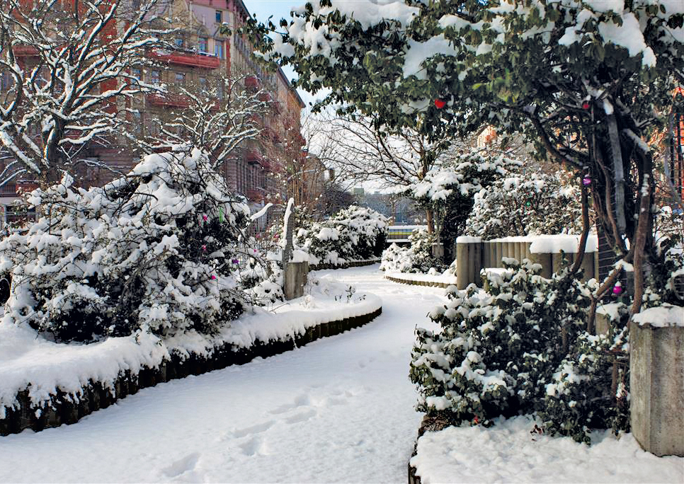 Inselflüstern: Der kleine Mauerpark