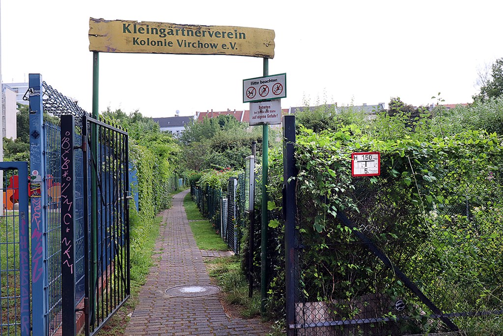 Beim Kleingartenverein Kolonie Virchow e.V. steht die Tür bereits für Besuchende offen. Foto: Schnell