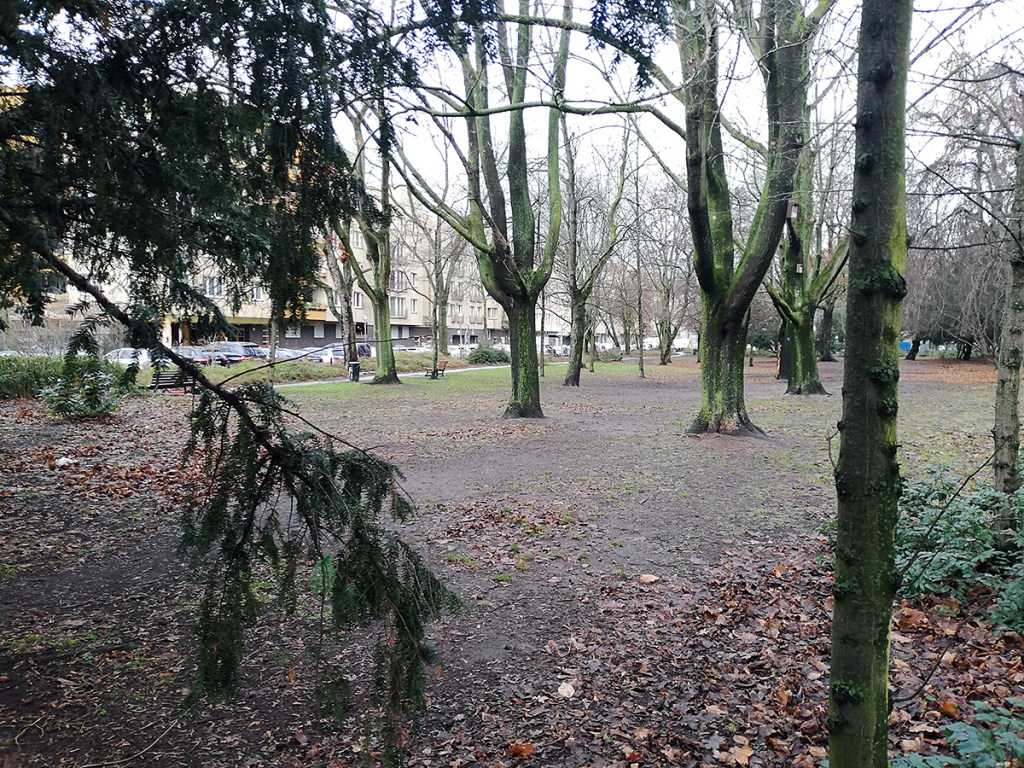 So sah die Grünfläche an der Ruheplatzstraße noch 2021 aus. Foto: Hensel