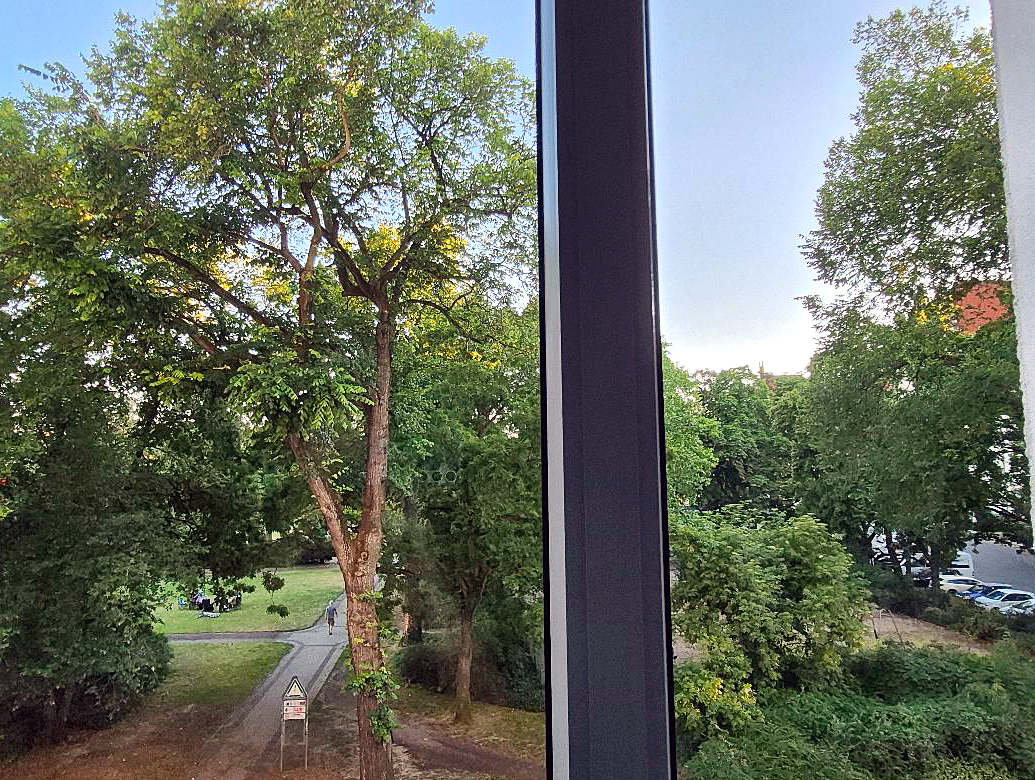 Fensterflaneuse: Rekonvaleszenz im Fensterkino