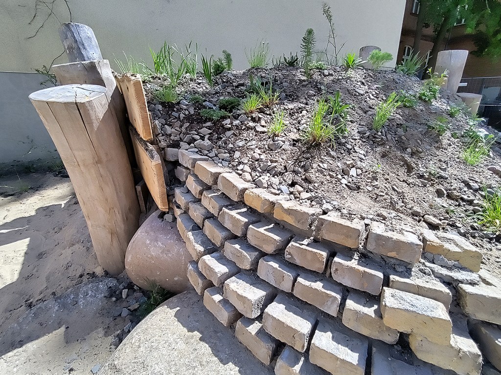 Auf dem Campus im Brunnenviertel entsteht gerade ein Trittsteinbiotop. Foto: Hensel