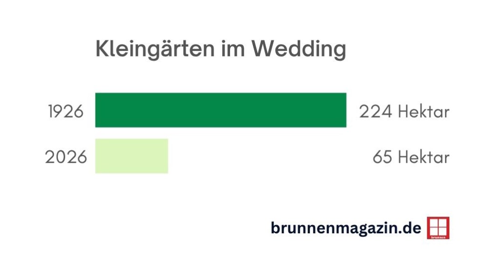 Fläche der Kleingartenanlagen im Jahr 1926 und 2026. Grafik: Brunnenmagazin