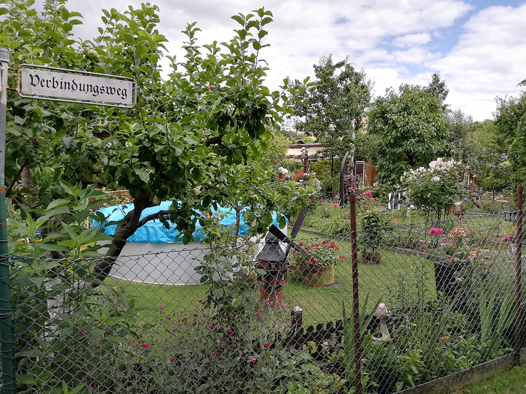 Blick in eine Kleingartenanlage an der Panke. Foto: Hensel