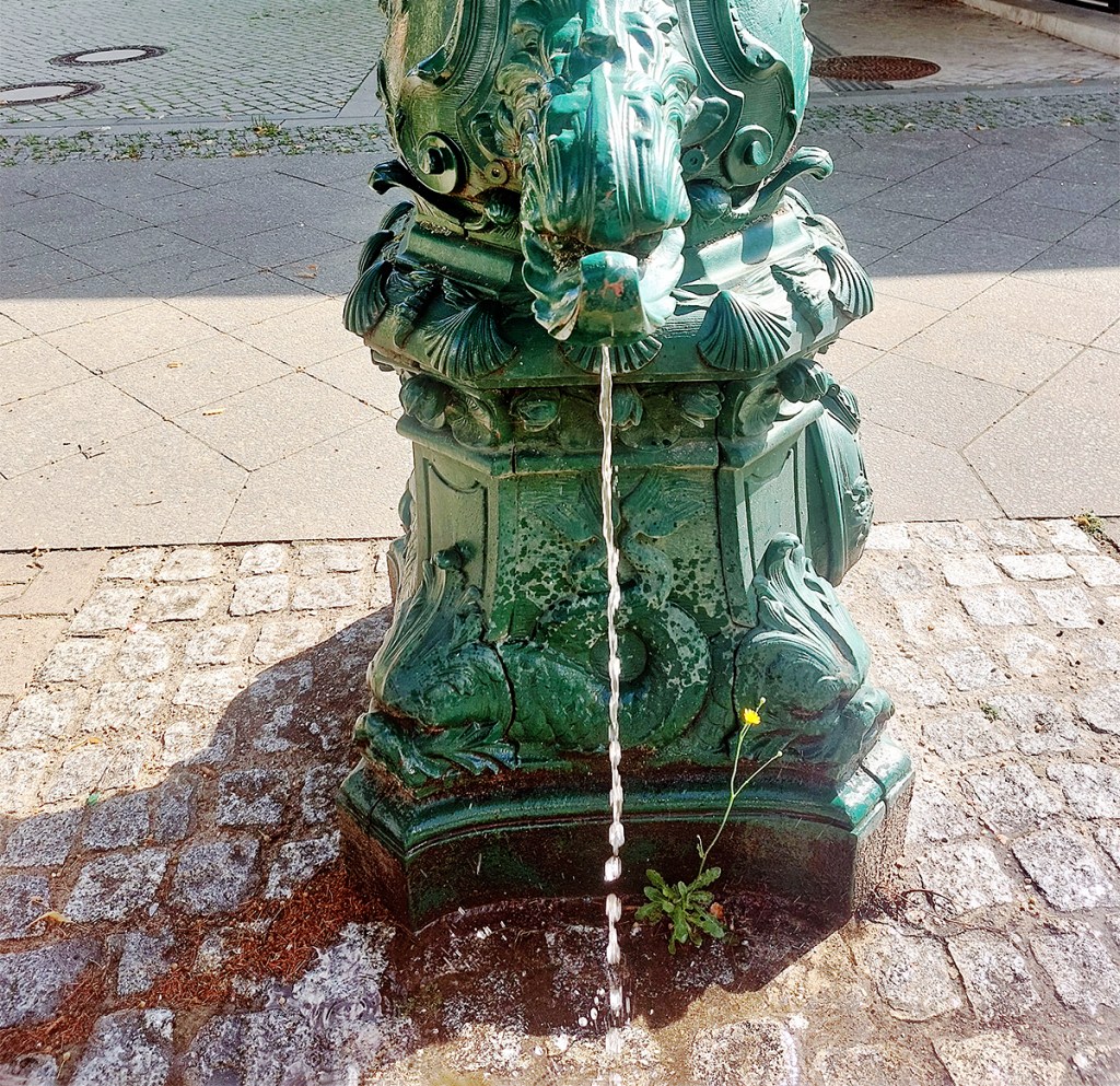 Wasser läuft aus einer historischen Schwengelpumpe mit Drachenkopf